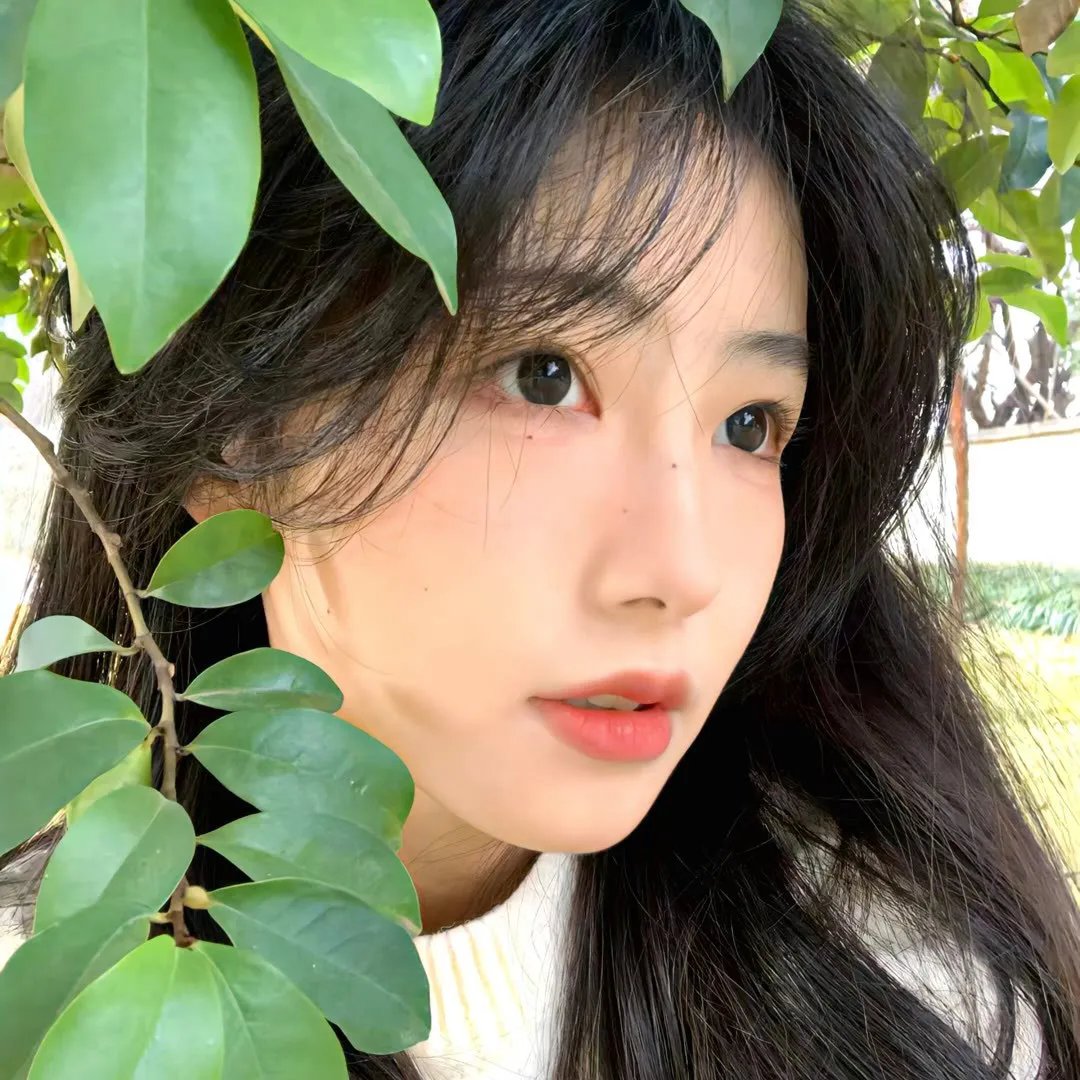 春泛桃花源