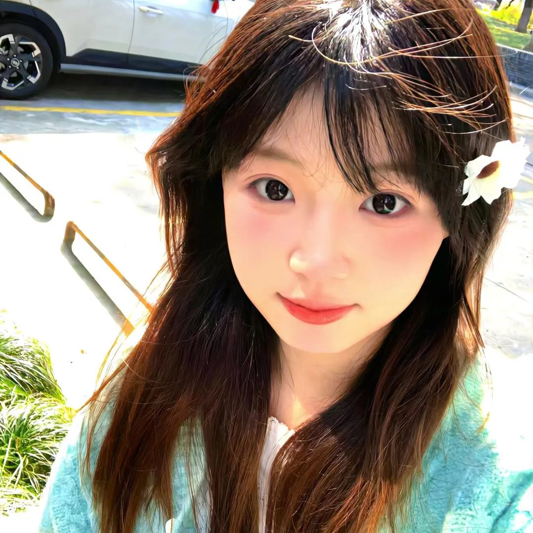 海燕双飞